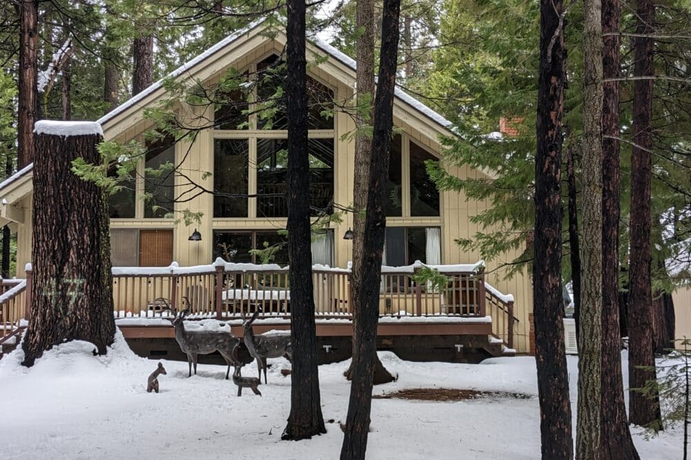Dorrington Vacation Rental Cabins - A cozy cabin in the woods with snow on the ground and an evergreen forest.