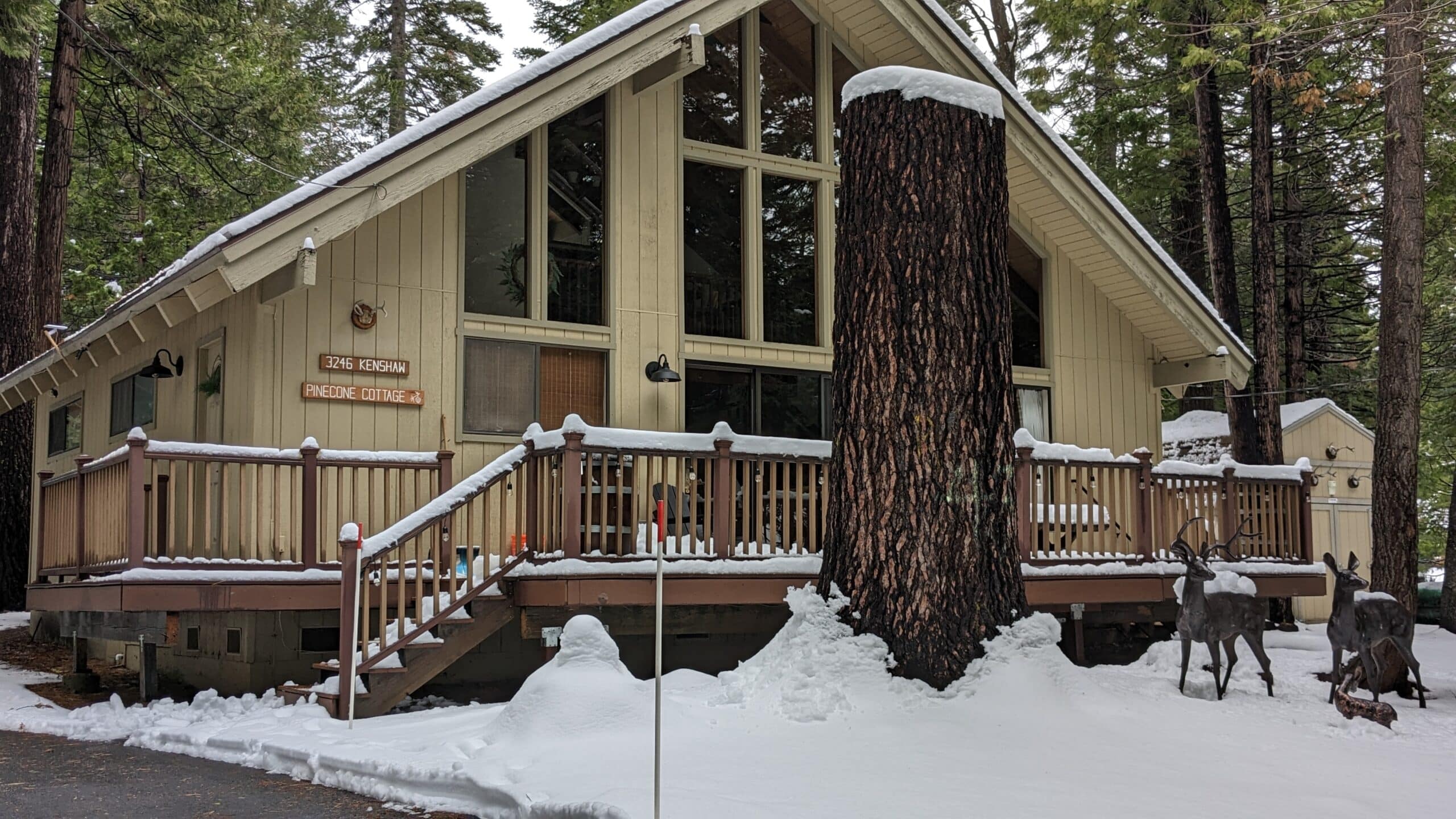 Dorrington Vacation Rental Cabins - A cozy cabin in the woods with evergreen trees and snow on the ground.