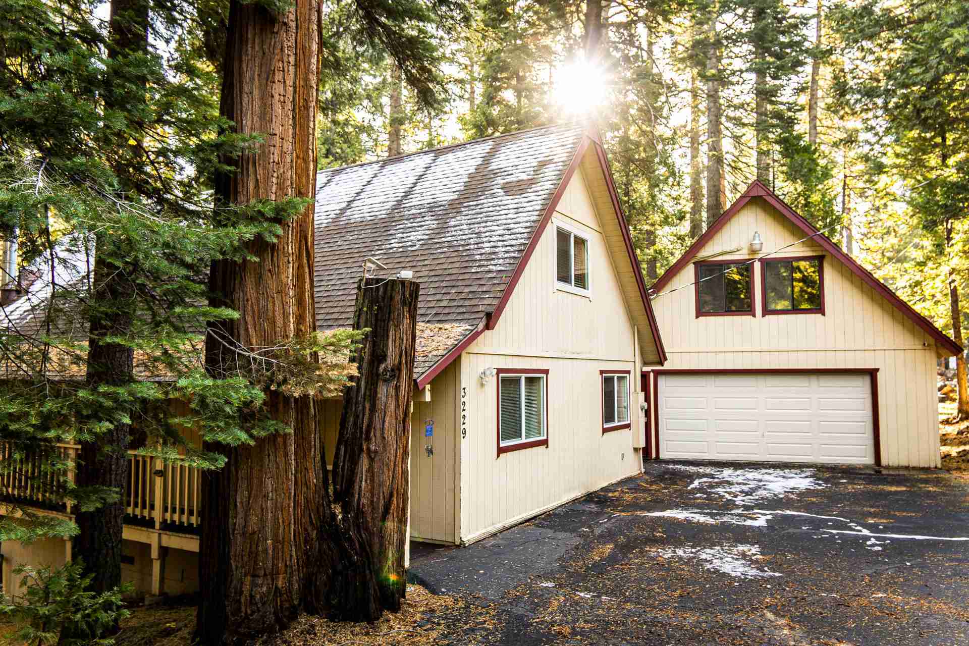 Small beige cabin with A-frame roof and garage in a sunlit forest setting.