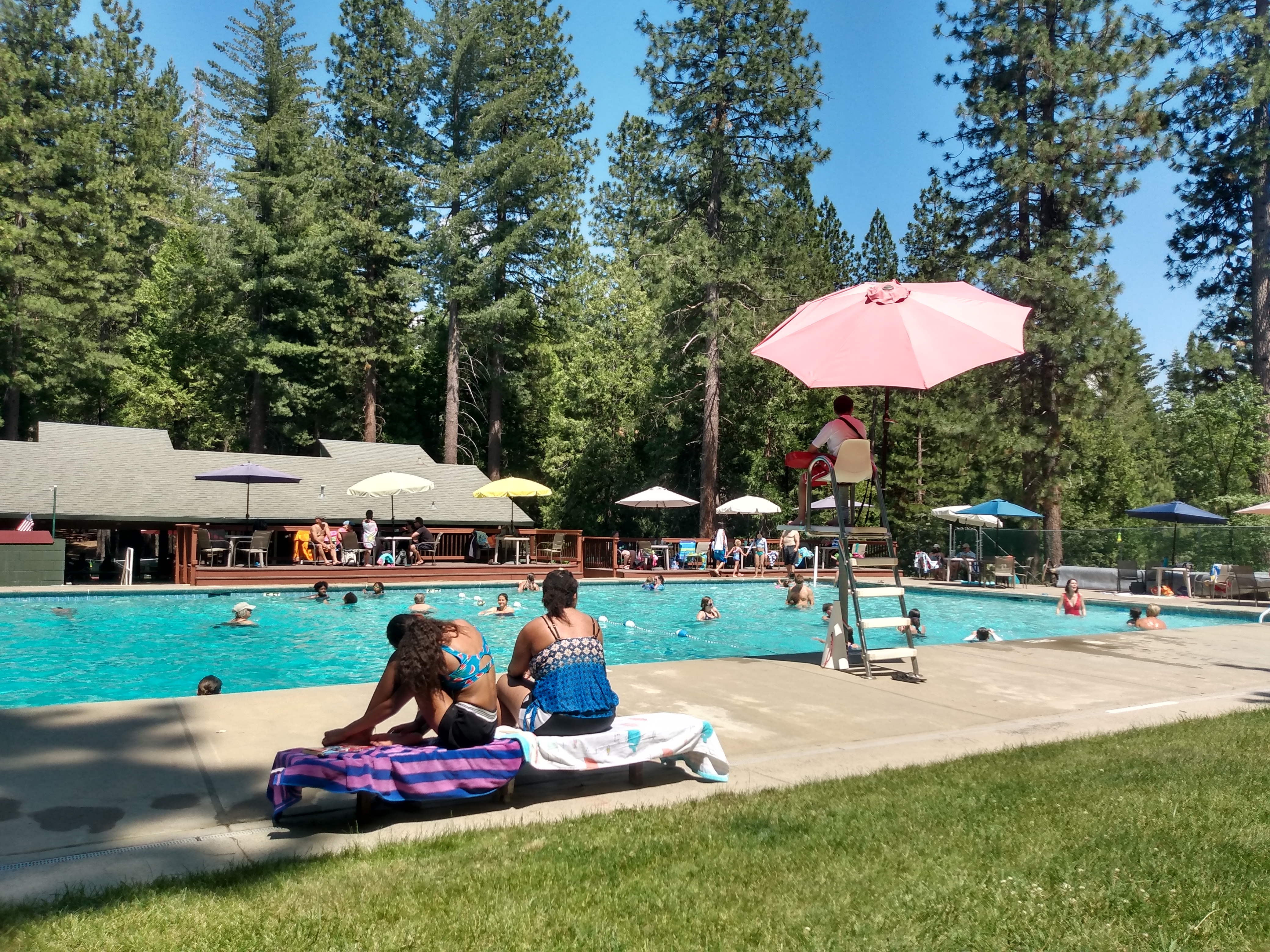 vacation rental cabin People swim and relax by an outdoor pool surrounded by trees; a lifeguard sits on a chair under a pink umbrella, and others lounge on towels near the water. near Arnold California